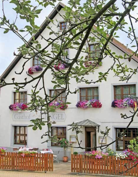 Hotel Restaurant Engel Pfaffenweiler Exterior foto